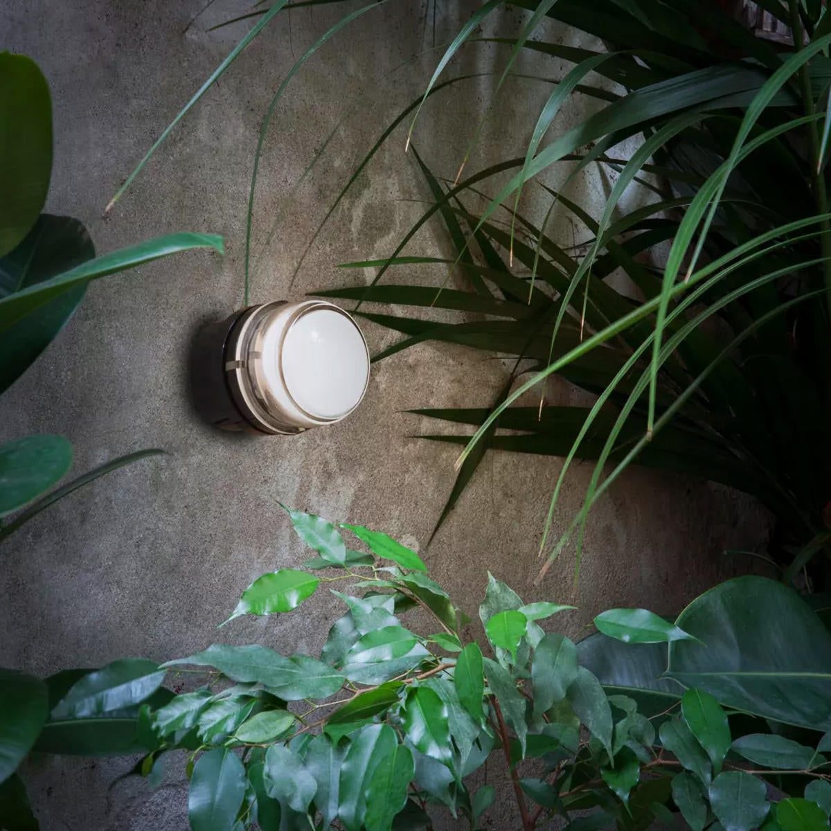Oluce Fresnel 1148 Outdoor Wall Light