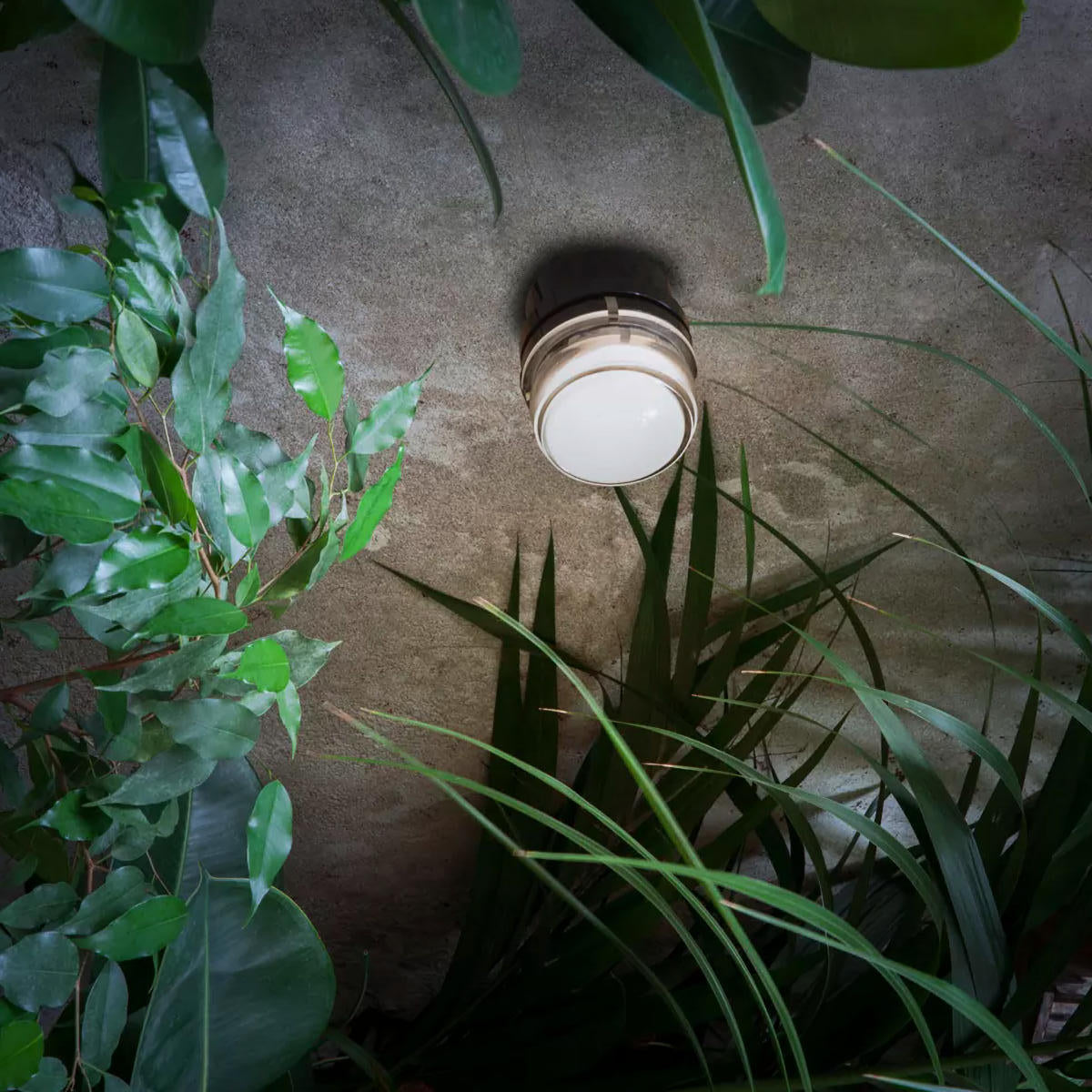Oluce Fresnel 1148 Outdoor Wall Light