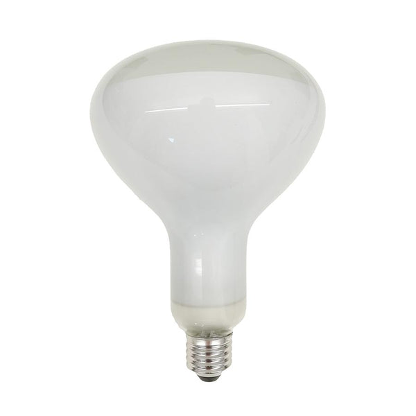 R125 12W Dimmable E27 LED Reflector Lamp